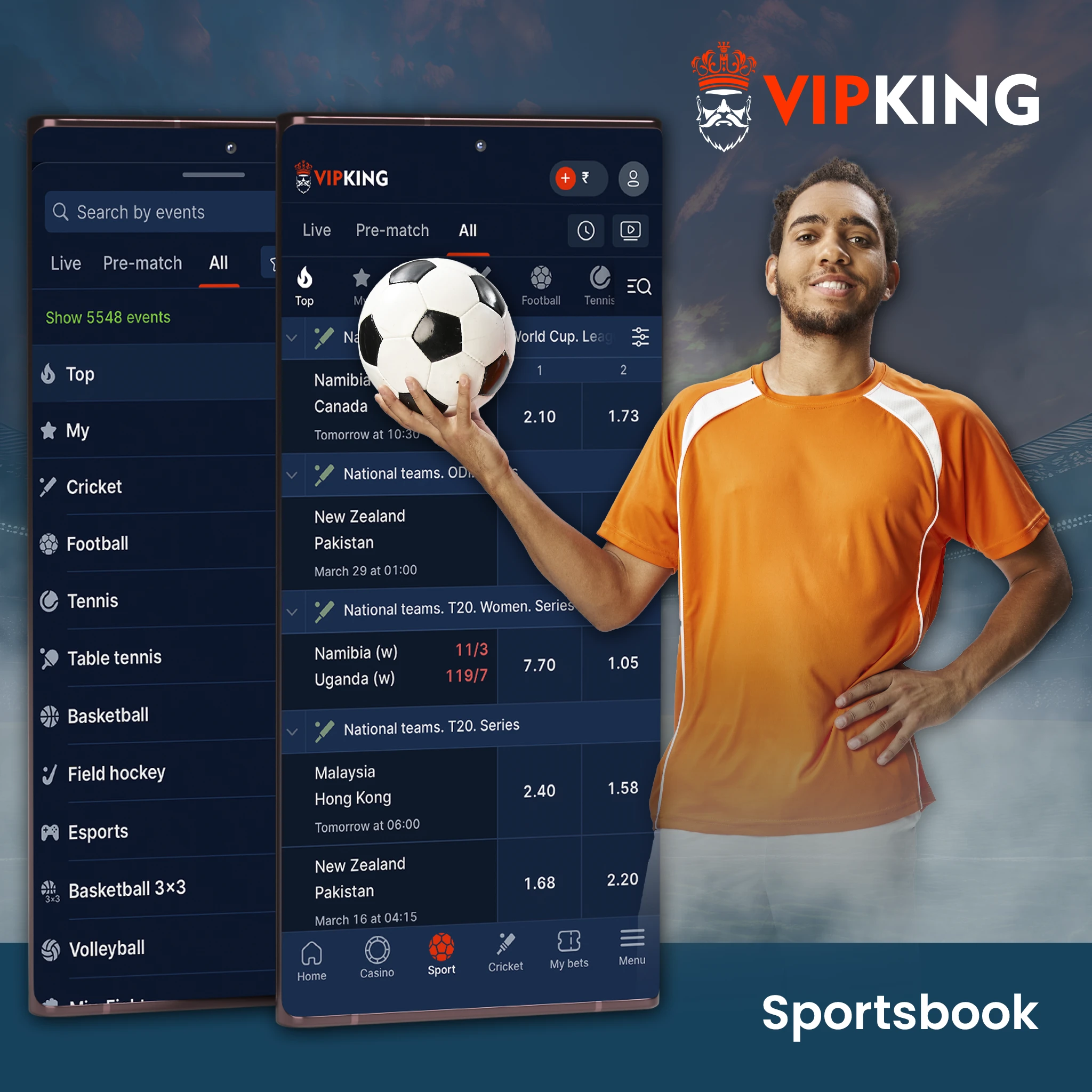 VipKing SportsBook